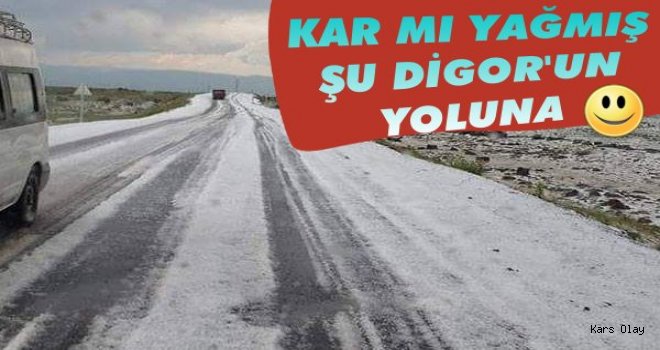 Digor’u dolu vurdu