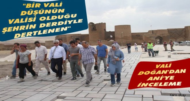 Vali Doğan'dan Ani'ye İnceleme