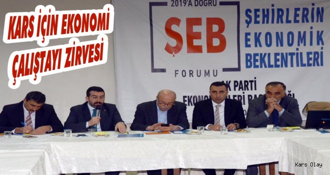 Kars'ta Şehirlerin Ekonomik Beklentileri Çalıştayı