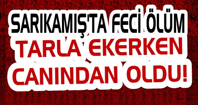 Sarıkamış’ta Feci Ölüm! Tarlasını Ekerken Canından Oldu