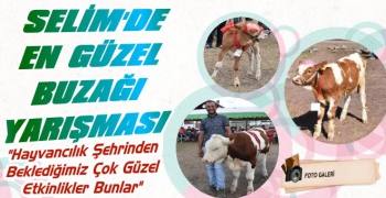 Selim'de 'En Güzel Buzağı' Yarışması