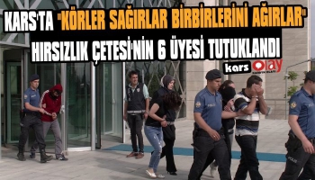 Kars'ta Hırsızlık Çetesinin 6'sı Tutuklandı