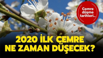 Bu Sene İlk Cemre Ne Zaman Düşecek?