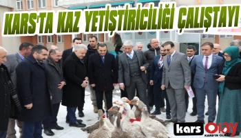 Kars'ta Kaz Yetiştiriciliği Çalıştayı
