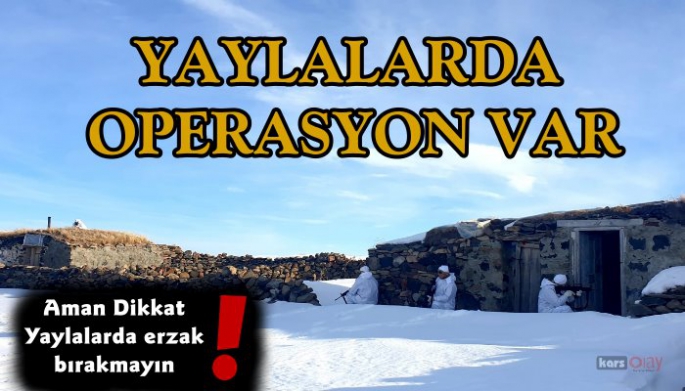 Ardahan yaylalarında kapsamlı terör operasyonu