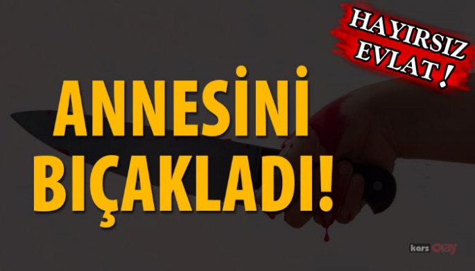 Hayırsız evlat annesini kalbinden bıçakladı