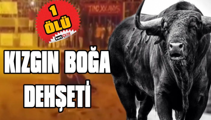 Kızgın Boğa Sahibini Öldürdü!