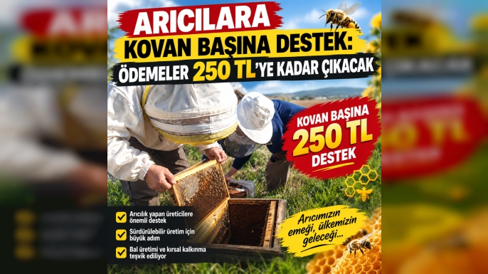 Arıcılara Kovan Başına Destek: Ödemeler 250 TL’ye Kadar Çıkacak