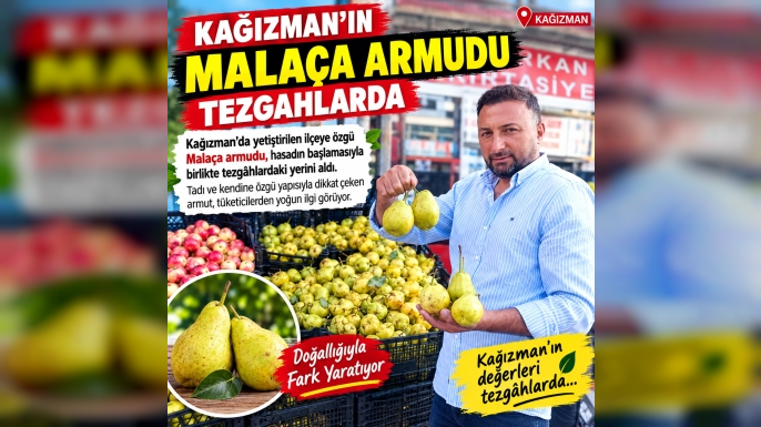 Kağızman’ın Malaça Armudu Tezgâhlarda