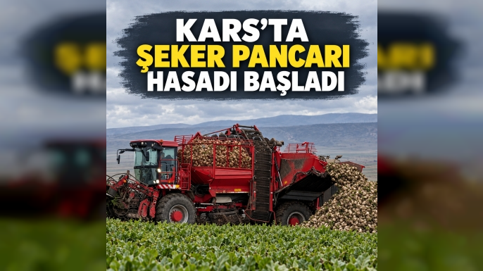 Kars’ta Şeker Pancarı Hasadı Başladı