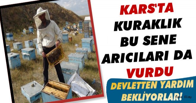 Kars'ta Kuraklık Bu Sene Arıcıları da Vurdu